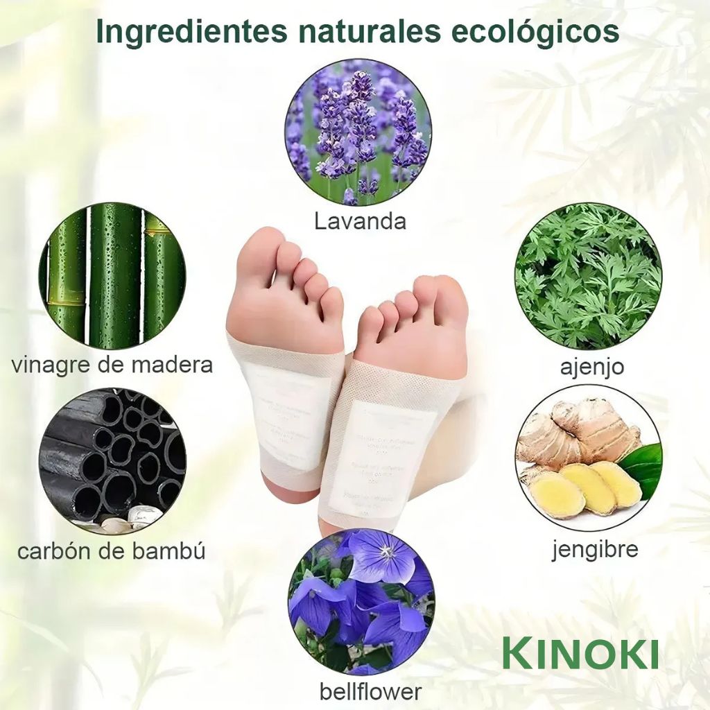 🔥 Parches DETOX Kinoki